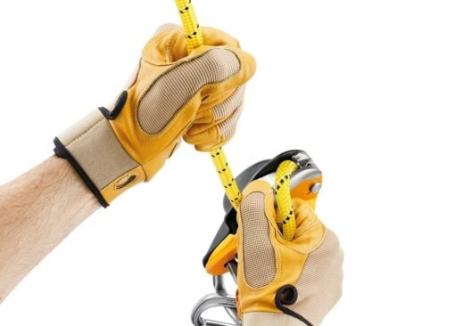 Petzl Rig