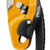 Petzl Rig